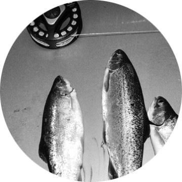 trouts_nz_round
